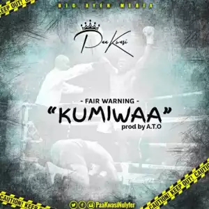 Paa Kwasi - Kumiwaa (Fair Warning) Kumi Guitar Diss